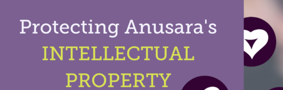 feature-Protecting Intellectual Property-2
