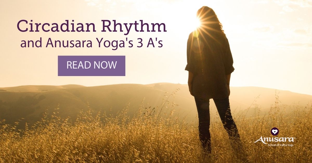 Circadian Rhythm and 3 A's - Anusara School of Hatha Yoga